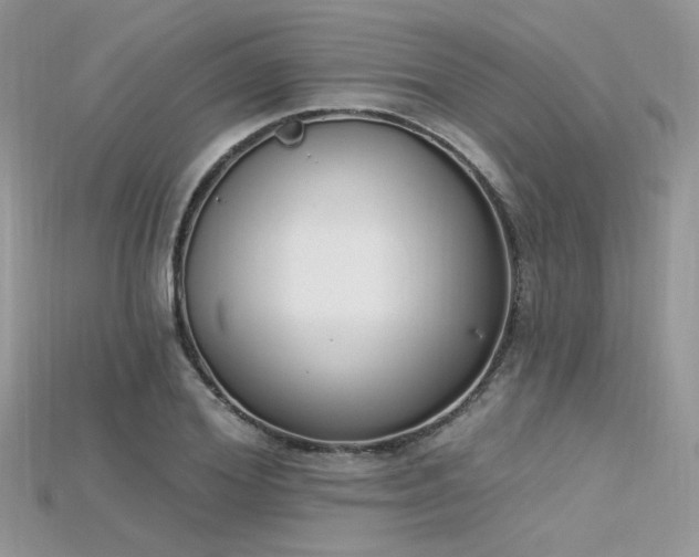 X0000115710980200911121422