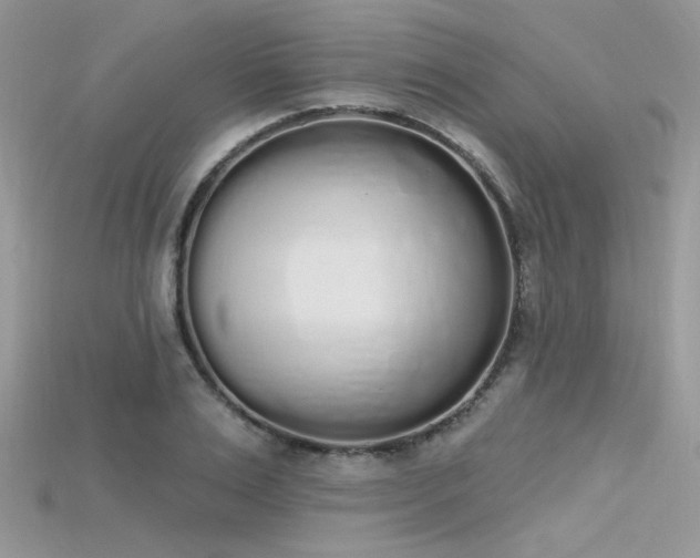 X0000115710983200911121422