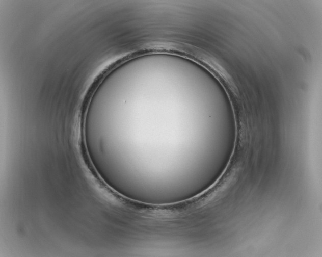 X0000115710984200911121422