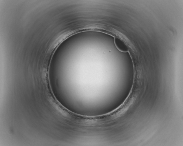 X0000115710985200911121422