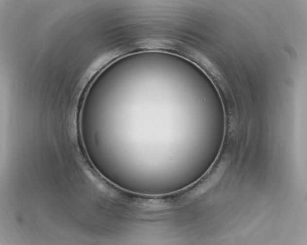 X0000115710986200911121421