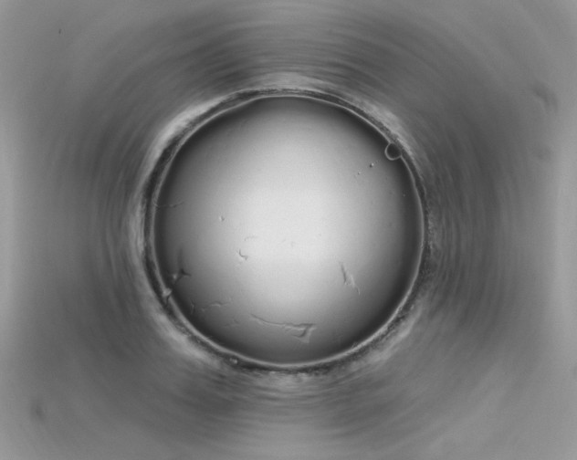 X0000115710987200911121421