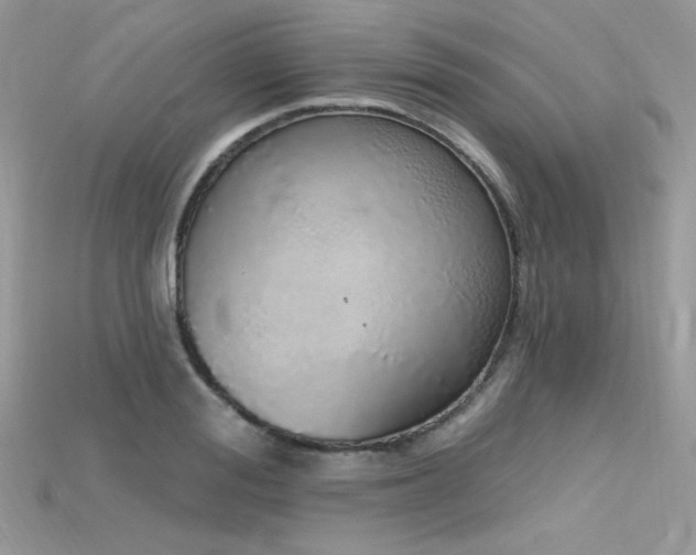 X0000115710988200911121421