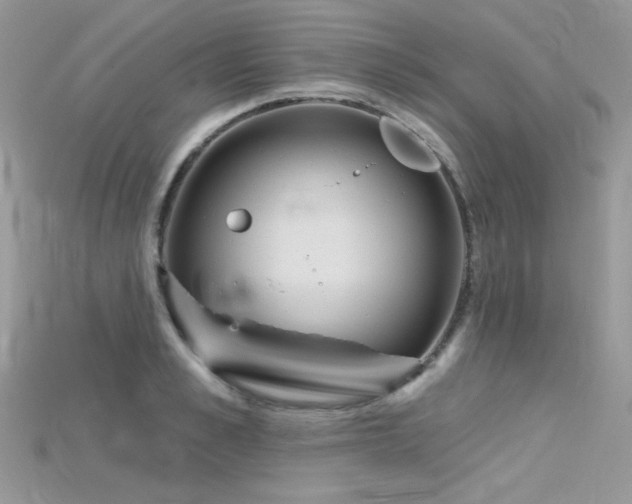 X0000115710989200911121421