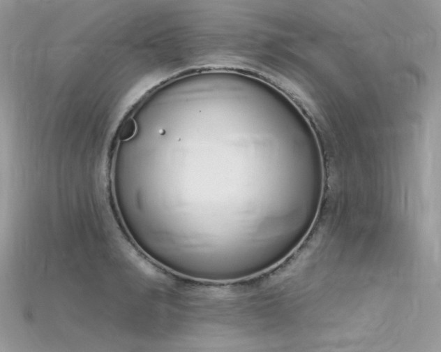 X0000115710990200911121421