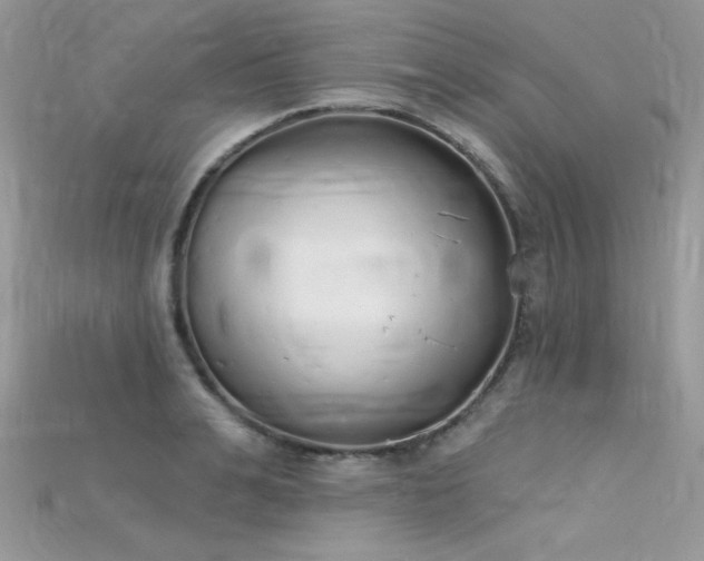 X0000115710991200911121421