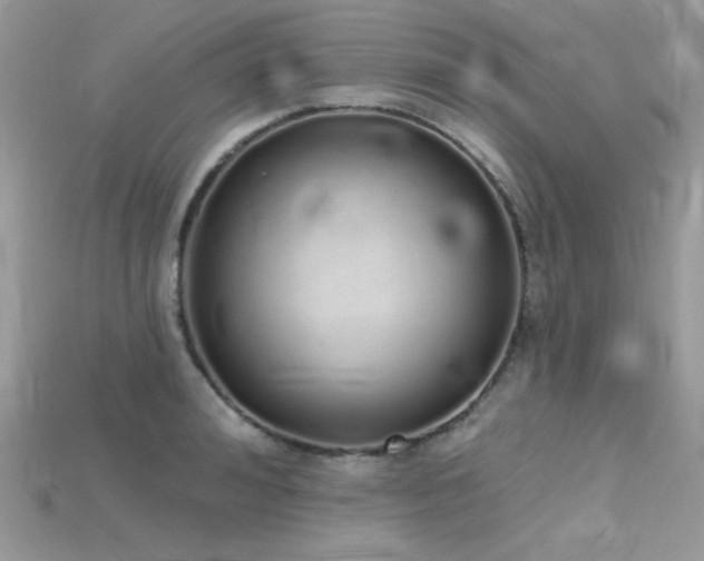 X0000115710992200911121421