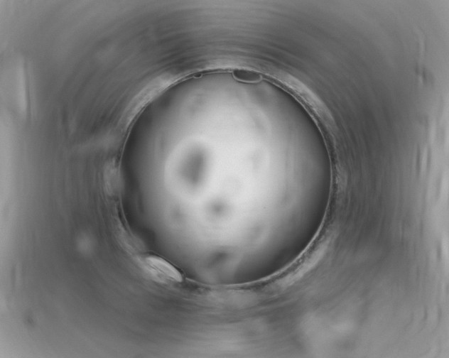 X0000115710993200911121421