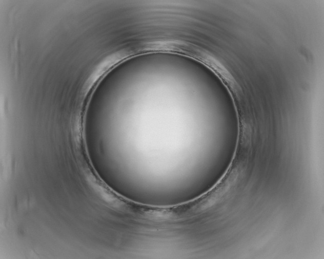 X0000115710994200911121421