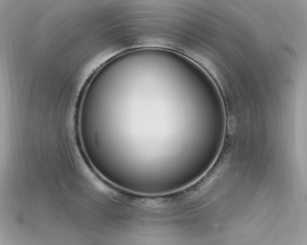 X0000115710995200911121421