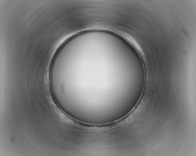 X0000115710996200911121421