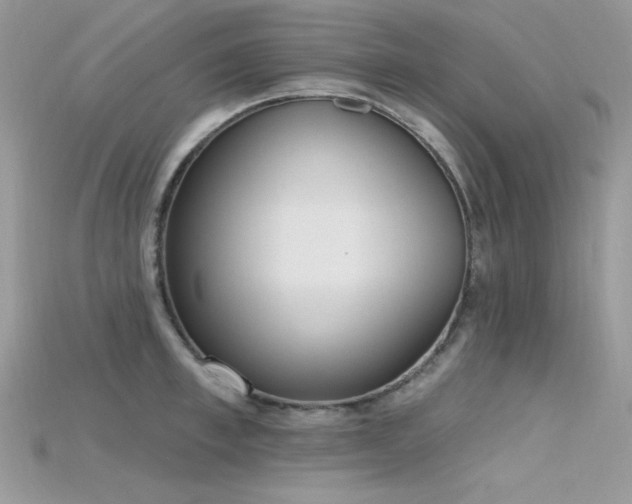 X0000115710997200911121421