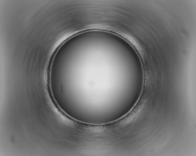 X0000115710999200911121421