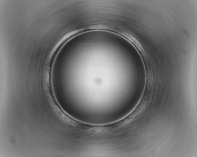 X0000115711000200911121421