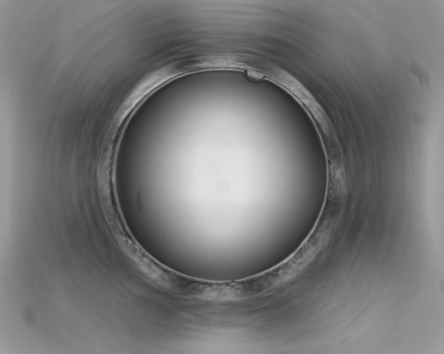 X0000115711002200911121421