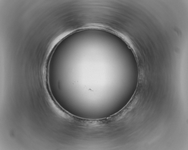 X0000115711003200911121421