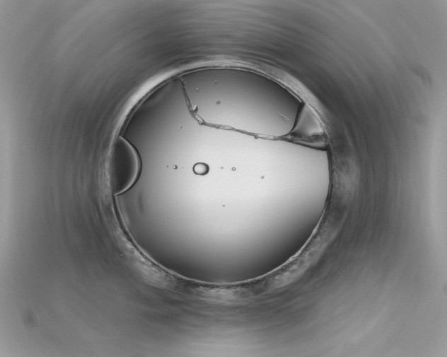 X0000115711004200911121421