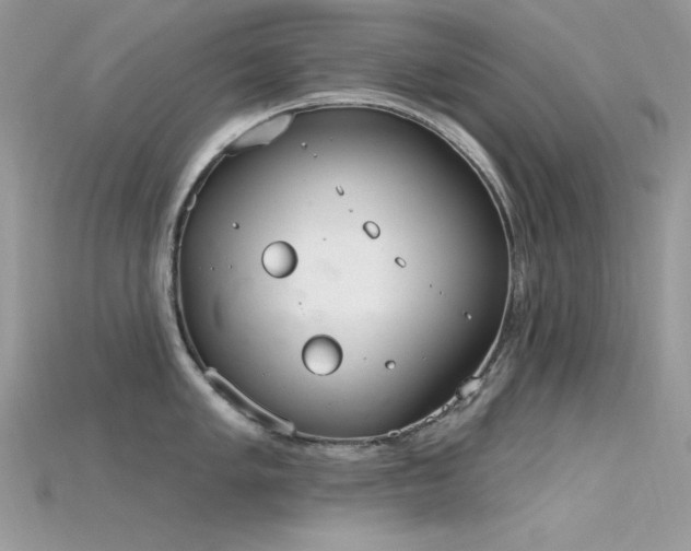 X0000115711005200911121421