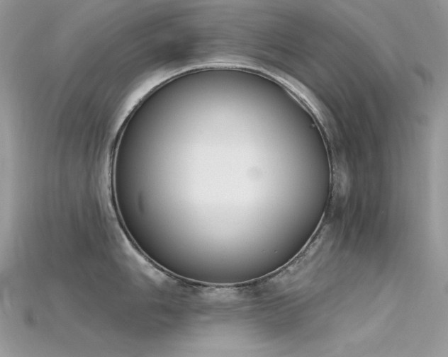 X0000115711006200911121421