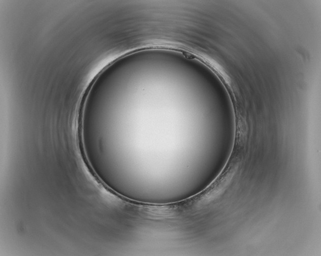 X0000115711007200911121421