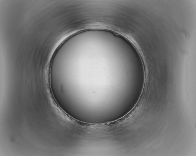 X0000115711008200911121421