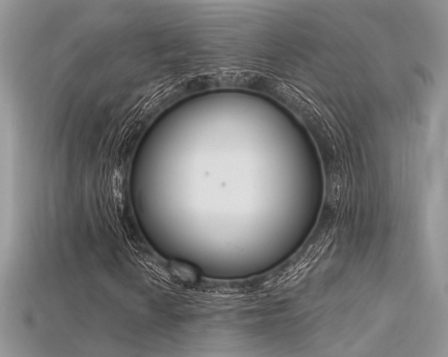 X0000115711010200911121420