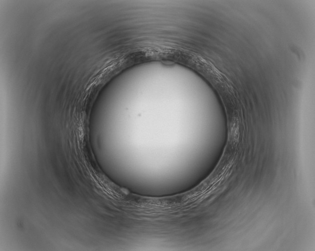 X0000115711012200911121420