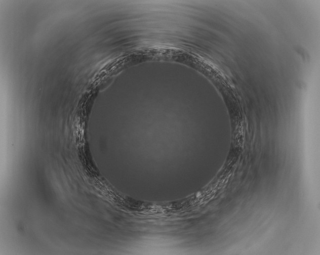 X0000115711013200911121420