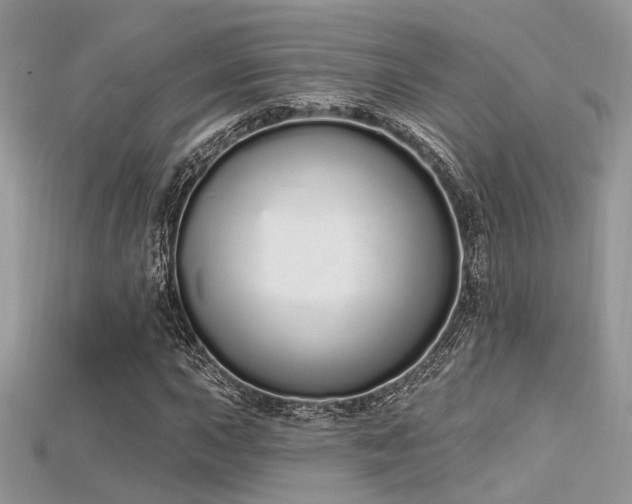 X0000115711015200911121421