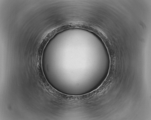 X0000115711016200911121421