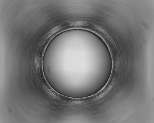 X0000115711017200911121421