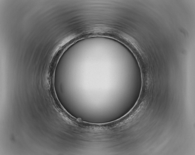 X0000115711018200911121421