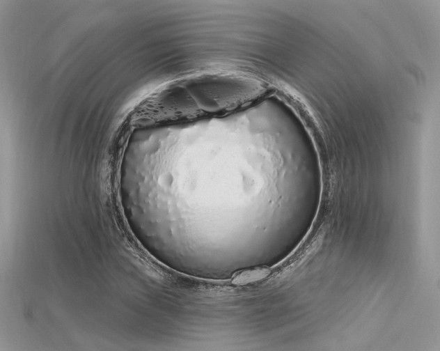 X0000115711019200911121421