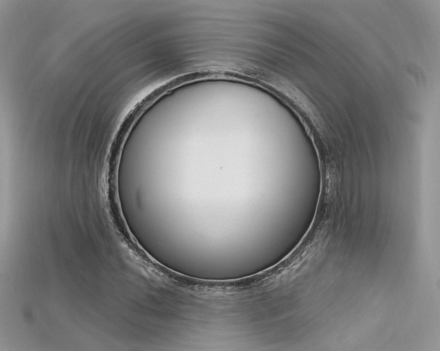 X0000115711020200911121421