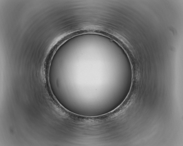 X0000115711022200911121421