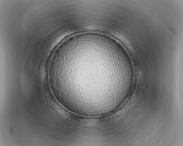 X0000115711023200911121421