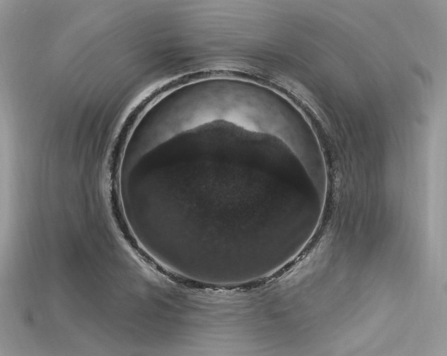 X0000115711024200911121421