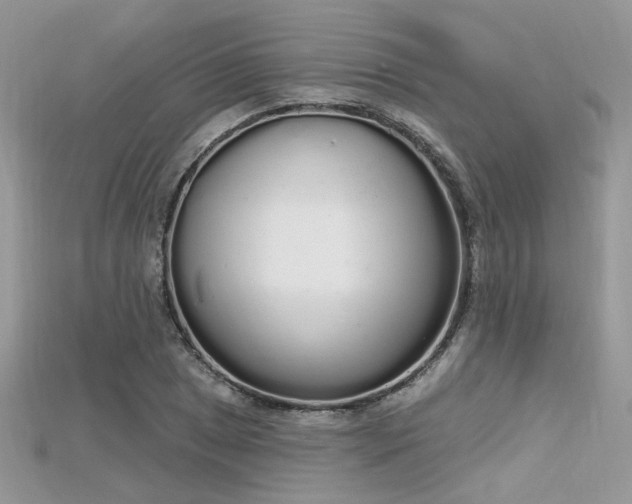 X0000115711025200911121421