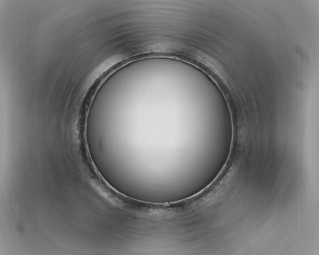 X0000115711026200911121421