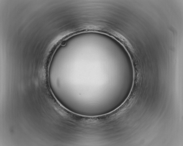 X0000115711027200911121421