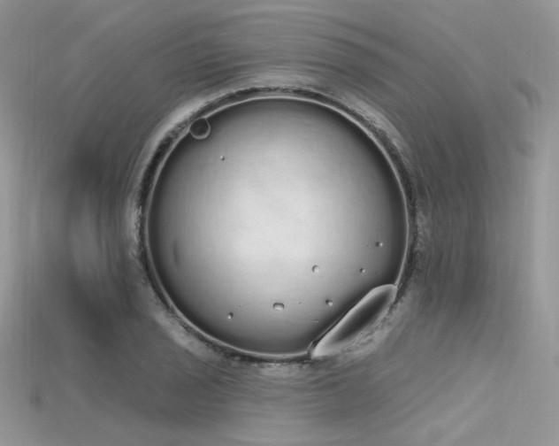 X0000115711029200911121421