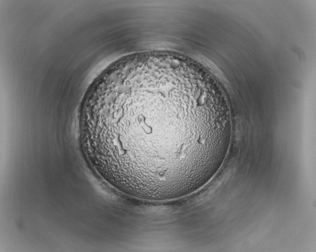 X0000115711031200911121421