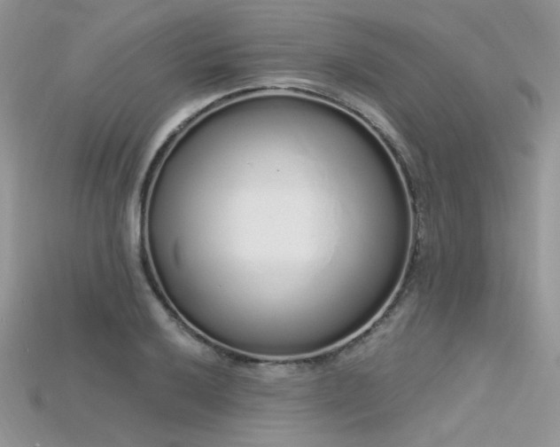 X0000115711032200911121421