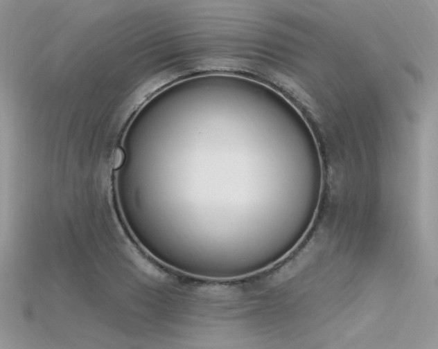 X0000115711033200911121421