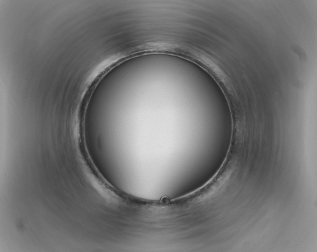 X0000115711034200911121421