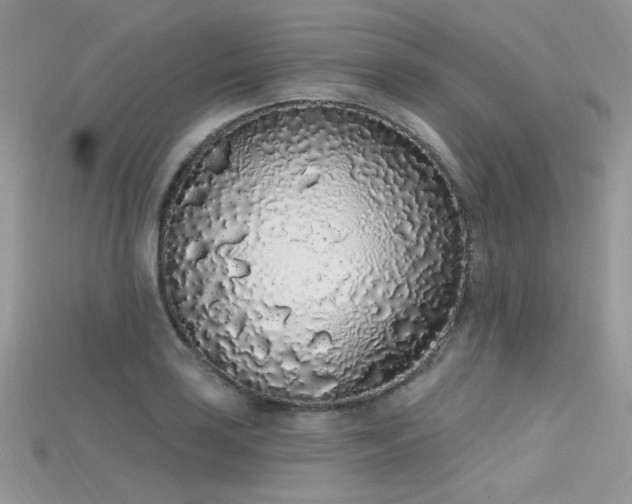 X0000115711035200911121421