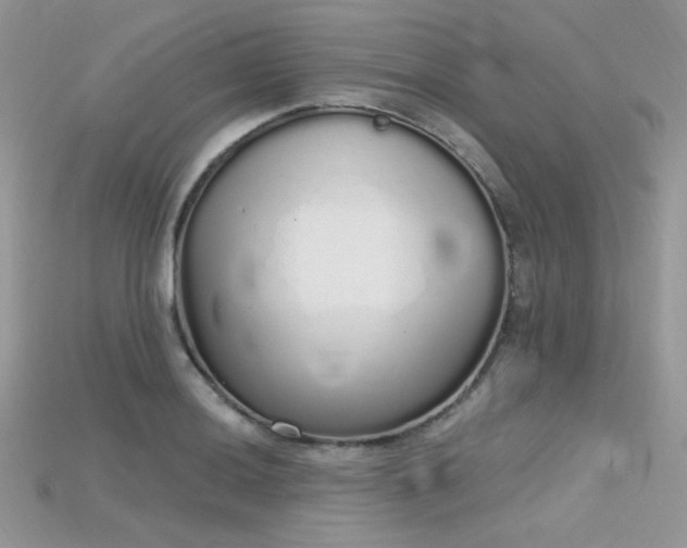 X0000115711036200911121421