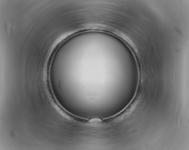 X0000115711037200911121421