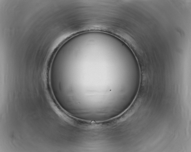 X0000115711038200911121421