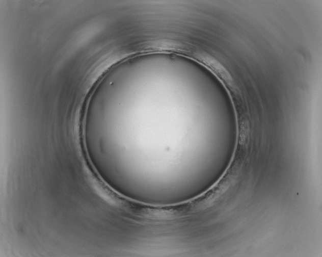 X0000115711039200911121421